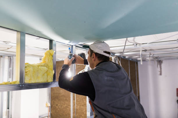 Best Insulation Replacement  in Wenonah, NJ